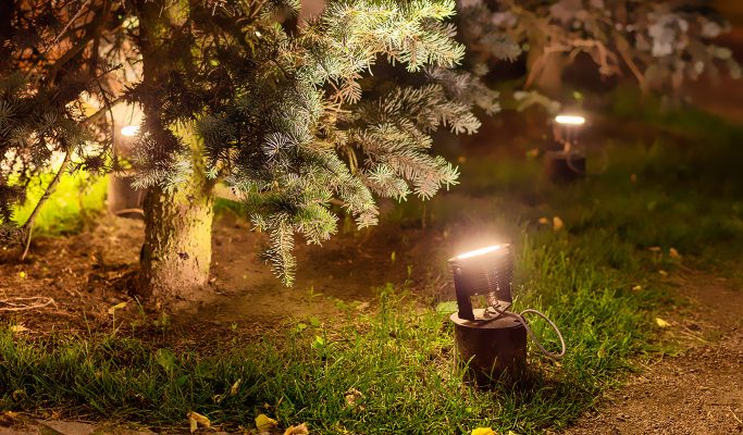 Освещение сквера на Торговой площади, Петергоф